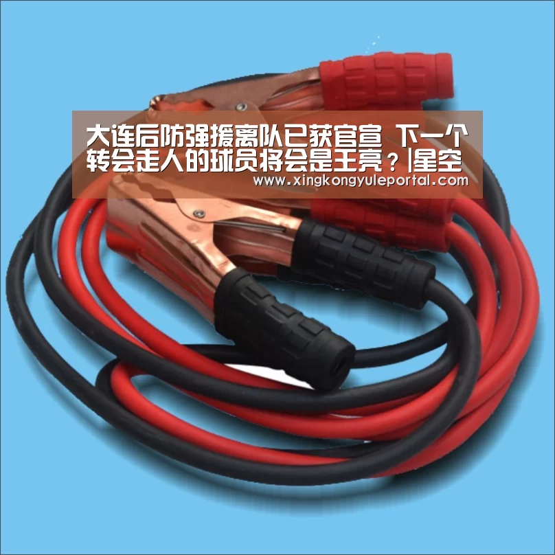 大连后防强援离队已获官宣 下一个转会走人的球员将会是王亮？|星空娱乐(图1)
