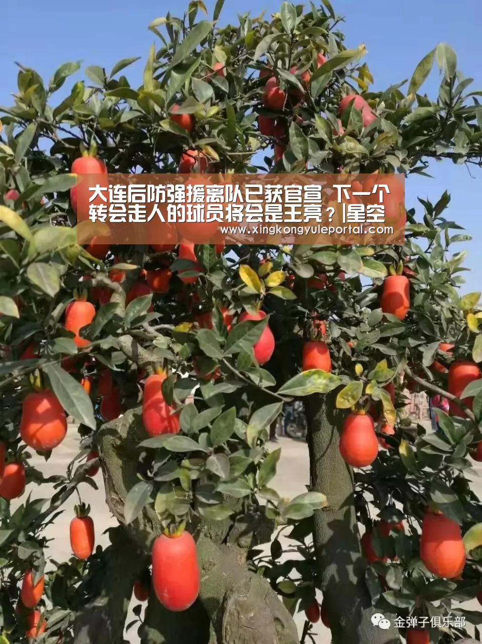 星空体育网站