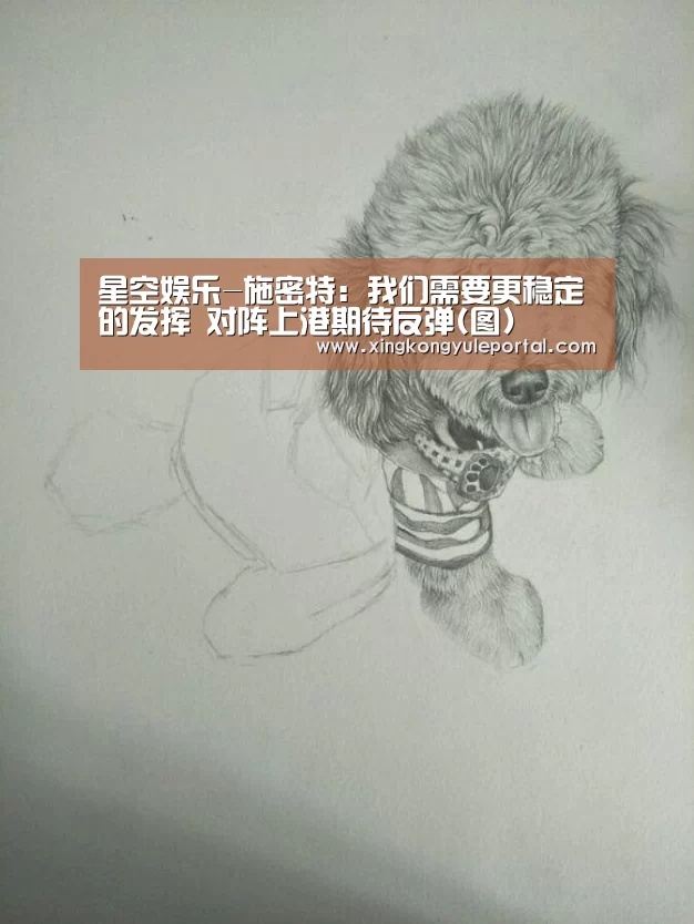 星空娱乐