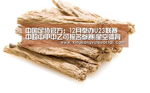 中国足协官方：12月举办U23联赛 中超中甲中乙可报名参赛|星空体育(图2)