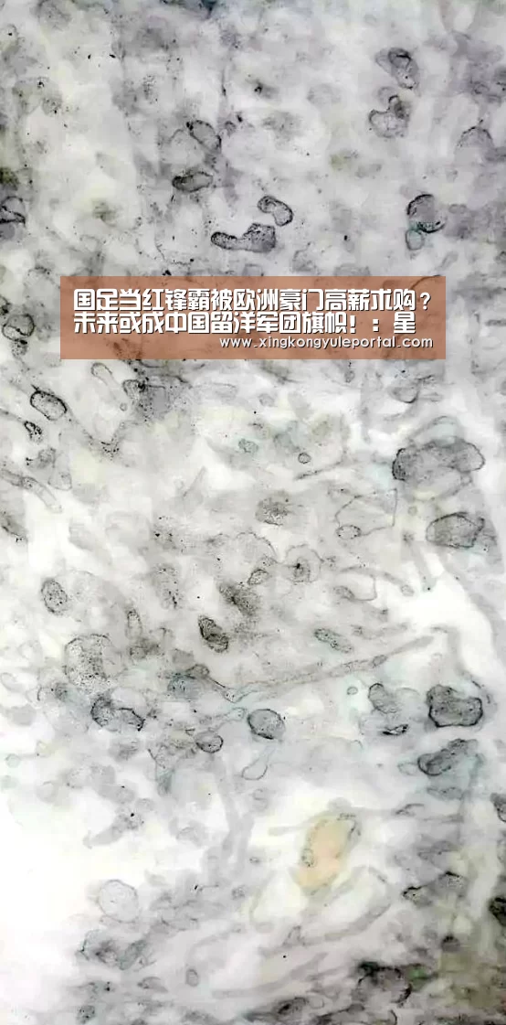 星空体育网站