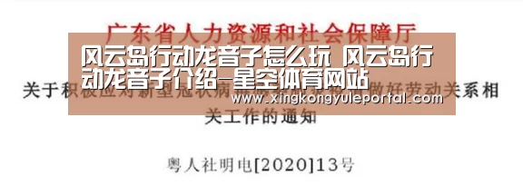 风云岛行动龙音子怎么玩 风云岛行动龙音子介绍-星空体育网站(图2)