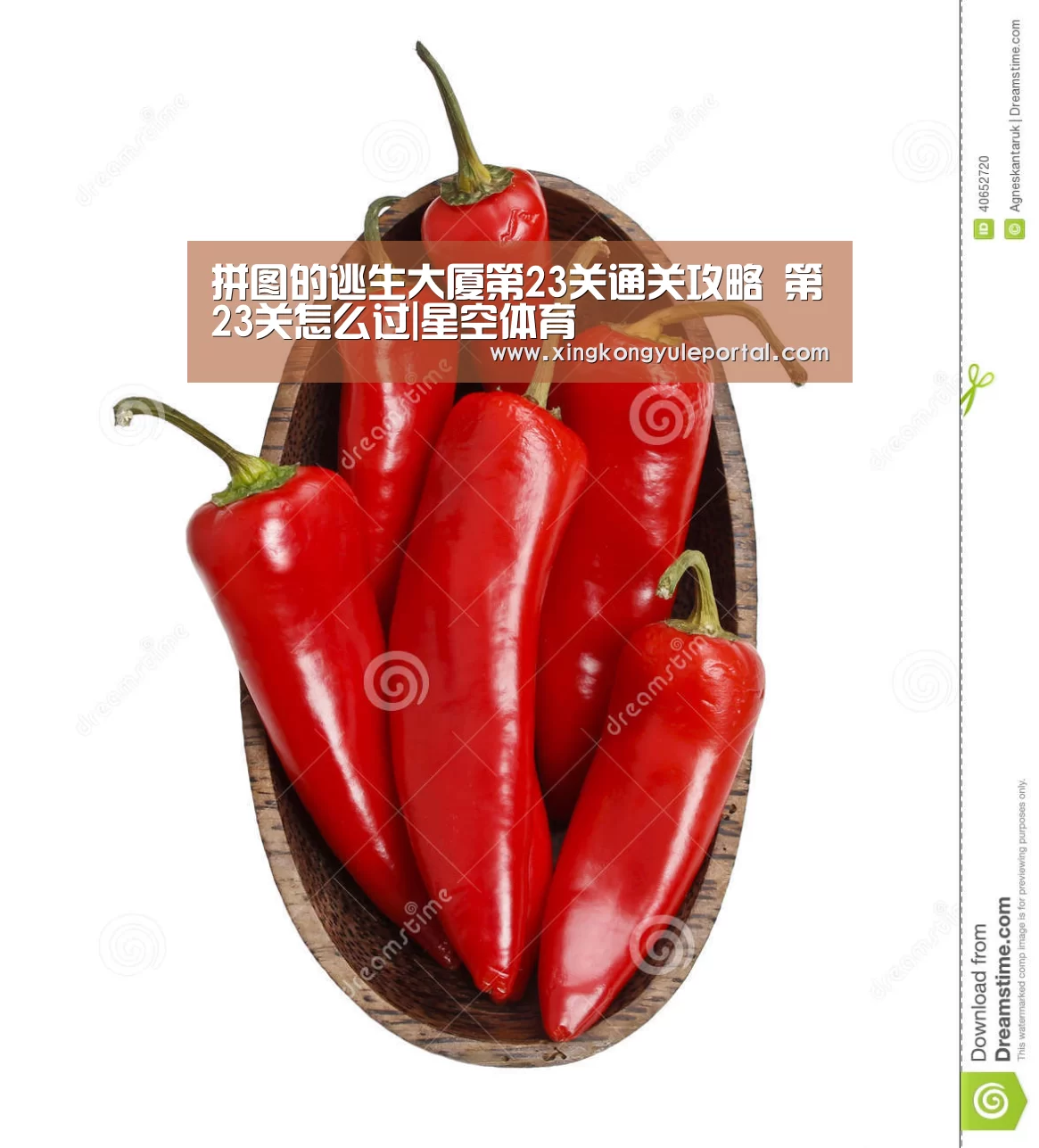 星空体育网站